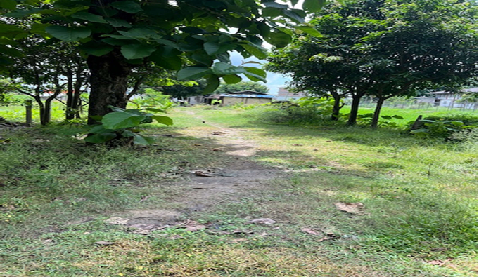Land at Chandranigahpur, Rautahat